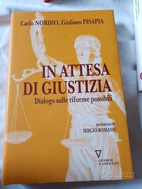 IN ATTESA DI GIUDIZIO