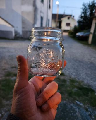 Vasetti bormioli 0.25 litri