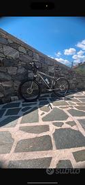Mtb giant