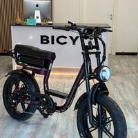 Nuova Bici elettrica Bicy Elegante Lilla edition