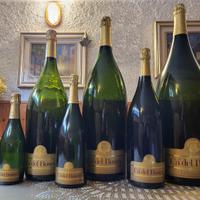 SERIE BOTTIGLIE SPUMANTE ESPOSIZIONE FRANCIACORTA