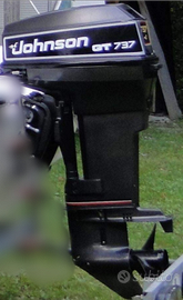 Motore Johnson 50 Cv 737