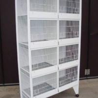 batteria per canarini 