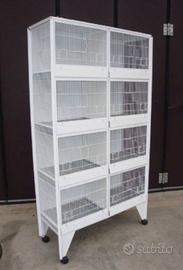 batteria per canarini 