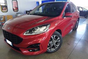 FORD Kuga 2.0 EcoBlue Hybrid 150 CV 2WD ST-Line X