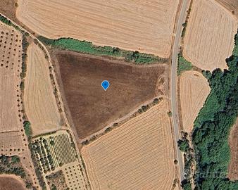 Terreno Agricolo di 16255 mq