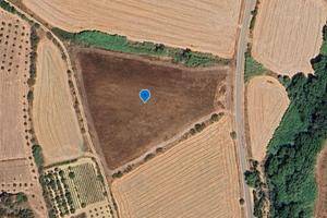 Terreno Agricolo di 16255 mq