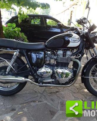 TRIUMPH Bonneville T100 Black/White