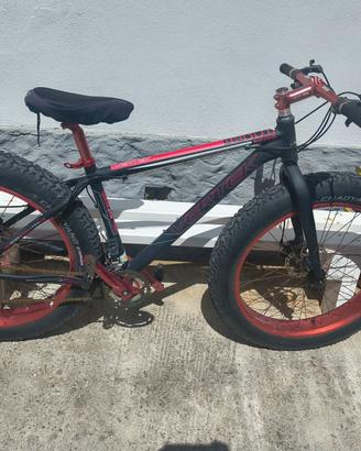 Bici fat bike