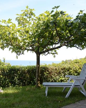 Appartamento con giardino vista mare
