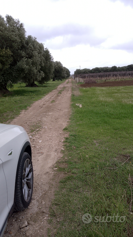 Terreno a Leporano