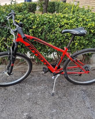 Bici ragazzo