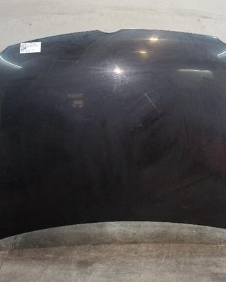 COFANO ANTERIORE VOLKSWAGEN Polo 4° Serie 6Q08230