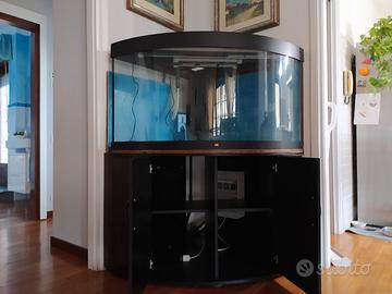 Acquario angolare 350 litri