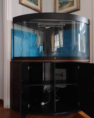 Acquario angolare 350 litri