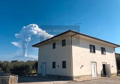 Terreno Con Uliveto In Contrada Petulenti