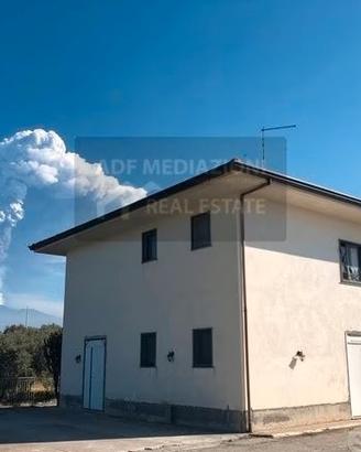 Terreno Con Uliveto In Contrada Petulenti