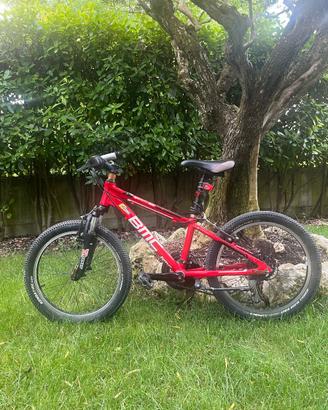 MTB BAMBINO