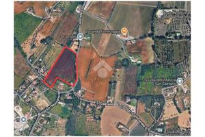 TER. AGRICOLO A CIVITANOVA MARCHE