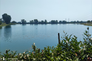 Terreno con ristorante