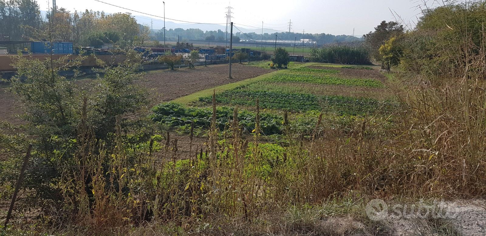 Terreno agricolo - Vista 2