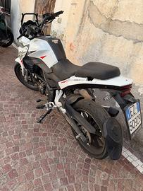 TRK Benelli 251