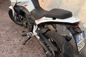 TRK Benelli 251