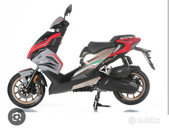 F.b mondial imola 50