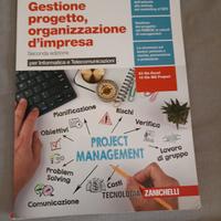 gestione progetto, organizzazione d'impresa