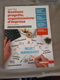 gestione progetto, organizzazione d'impresa