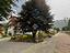 Immagine 14