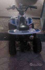Quad.