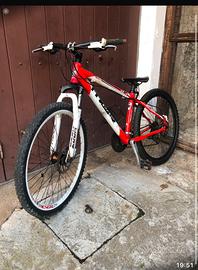 Bicicletta  uomo