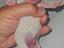 Immagine 4