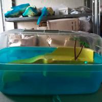 GABBIE CONIGLIO CRICETO TARTARUGA ACQUARIO