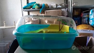 GABBIE CONIGLIO CRICETO TARTARUGA ACQUARIO