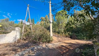 Terreno 2000 mq monte nieddu turisrico collinare