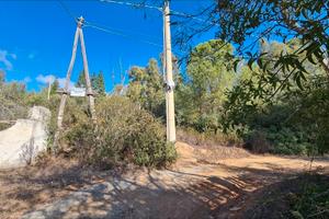 Terreno 2000 mq monte nieddu turisrico collinare