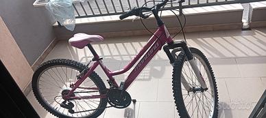 bicicletta ragazza Montana