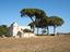 Immagine 18