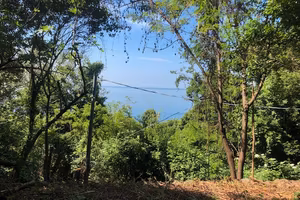 Costiera vista mare