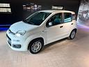 fiat-panda-1-2-easypower-easy