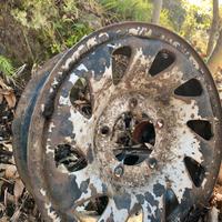 Cerchi per daiatshu e Suzuki