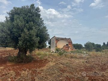 Terreno con Lamia Rustica