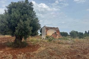 Terreno con Lamia Rustica
