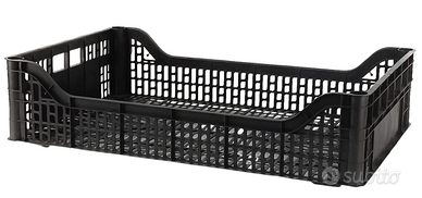 CASSETTE ORTOFRUTTICOLE