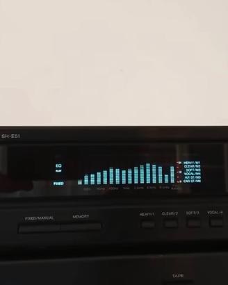 Equilizzatore technics SH E51