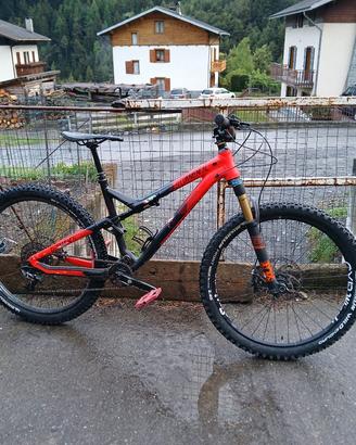 Bici da dowhnill