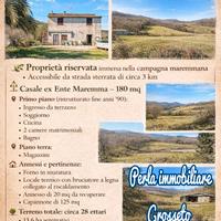 Azienda vicino alle terme di saturnia in TOSCANA