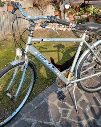 bicicletta Dumont
